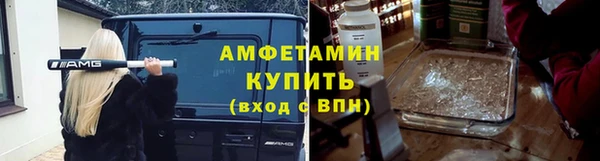 амф Бородино