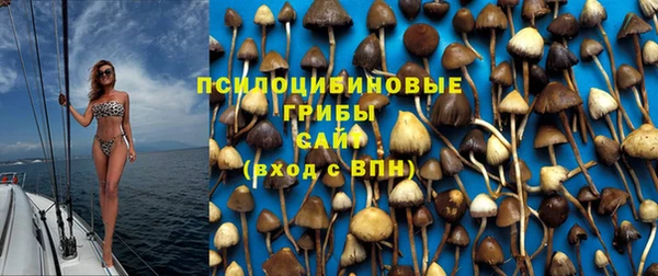 дмт Верея