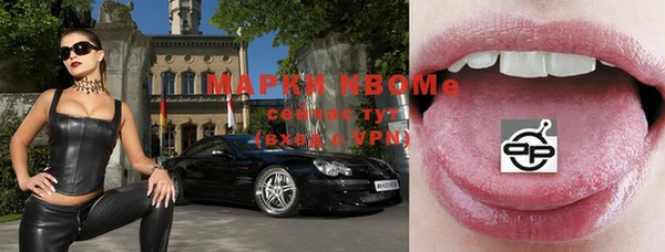 амф Бородино