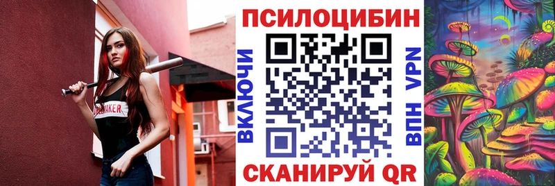 Галлюциногенные грибы Magic Shrooms  закладки  Енисейск 